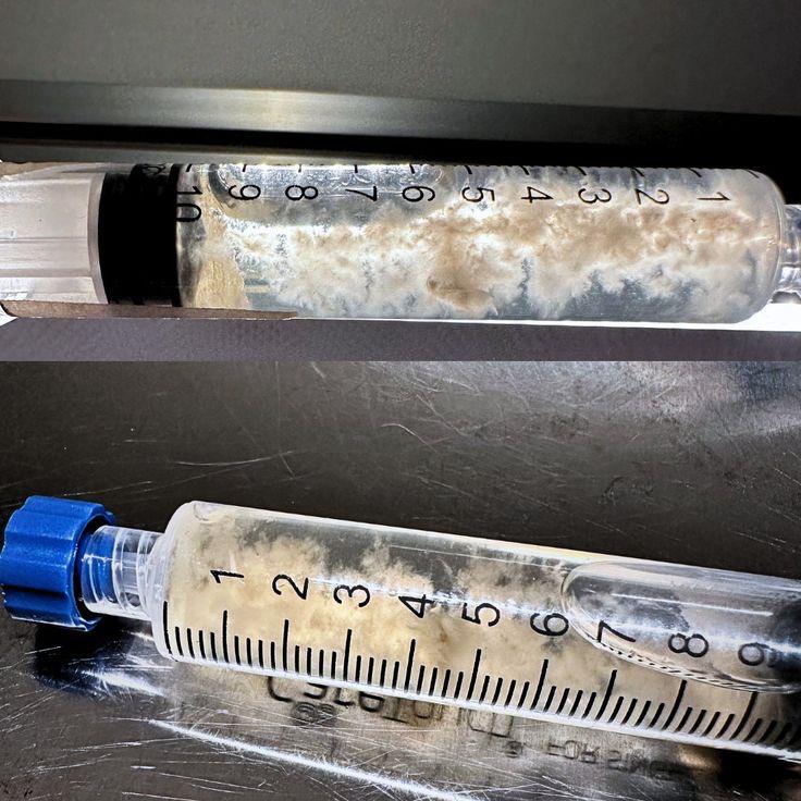 Spore Syringes